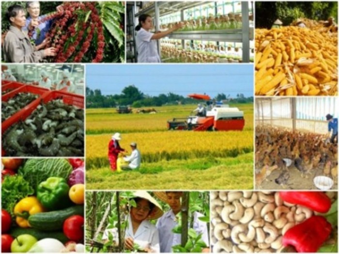 Nhà đầu tư nước ngoài chưa mạnh dạn đầu tư vào nông nghiệp Việt Nam