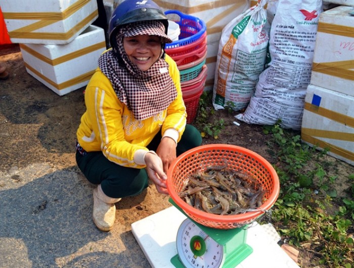 Tôm sạch bán giá cao