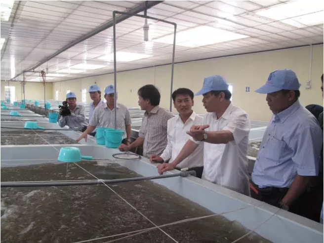 Bộ trưởng Bộ NNPTNT Nguyễn Xuân Cường thăm cơ sở sản xuất tôm giống thương phẩm tại thị trấn Vĩnh Tân, huyện Tuy Phong, Bình Thuận. Anh: Khương Lực