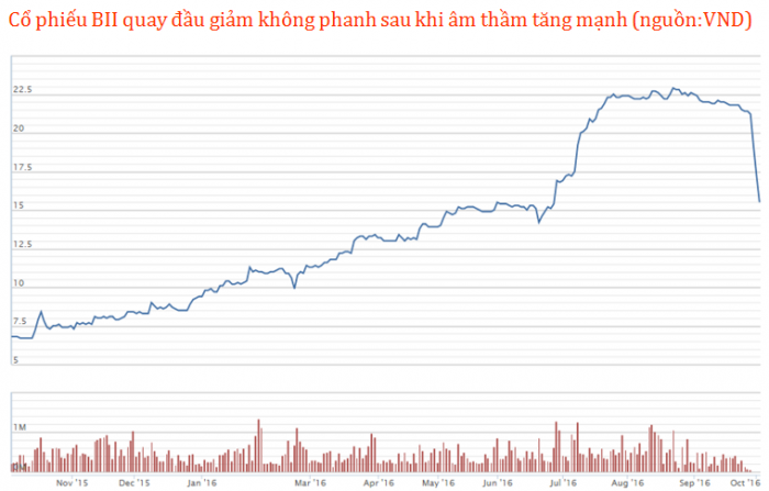 BII giam san