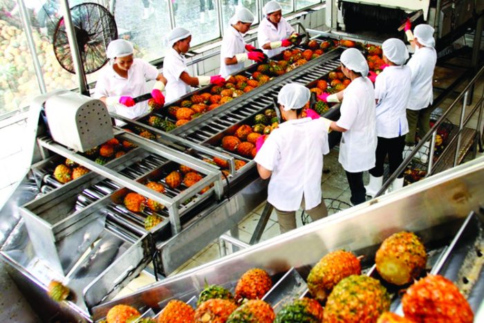 Cơ hội xuất khẩu hàng nông sản luôn rộng mở với doanh nghiệp và nông dân
